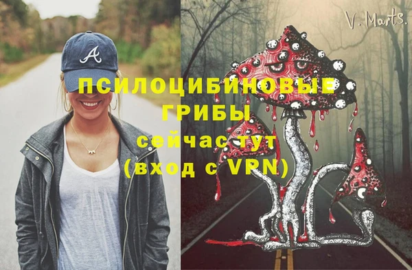 бошки Армянск