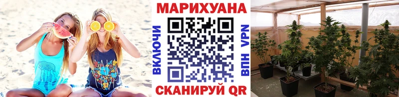 наркота  Асино  Конопля план 